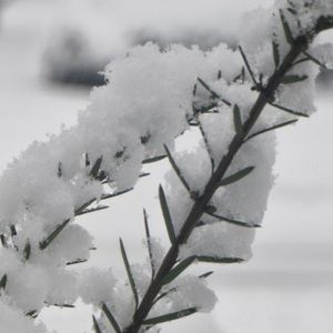 Meet your Posher, Riya